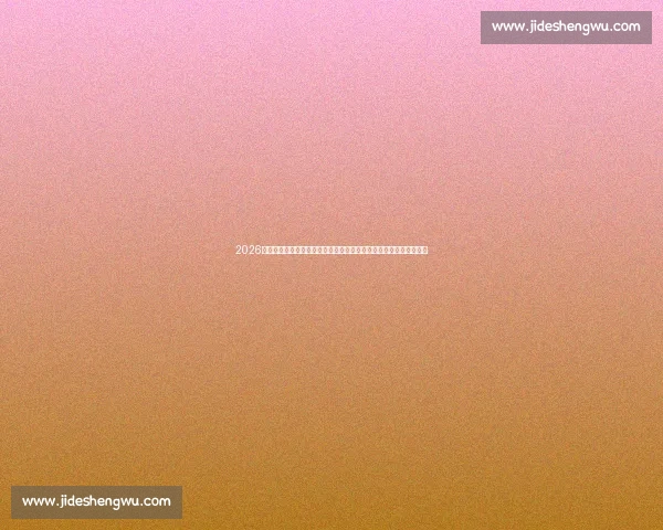 2026年世界杯：全球瞩目足球盛宴揭开新篇章，历史新纪录与新势力崛起