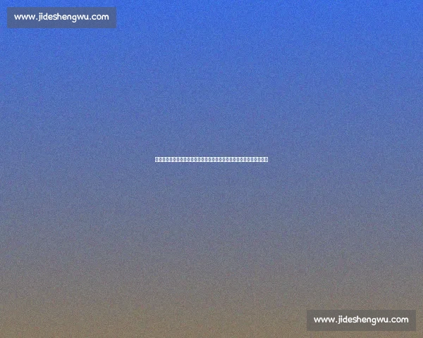 法国世界杯决赛失球背后的战术博弈与时代变迁启示历史反思与记忆价值