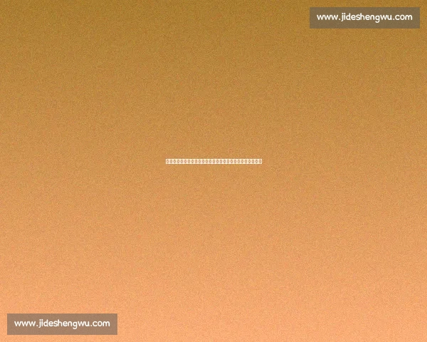 詹姆斯为何信任菜鸟教练？从泰伦・卢到阿特金森的冠军密码