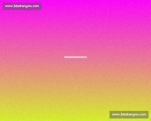 陈晋一申花周年感恩：心怀感激再启新程