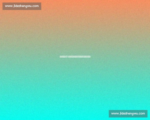 费迪南德:B 费拒沙特天价合同,他才是曼联真队长! 费迪南德:B 费拒沙特天价合同,他才是曼联真队长!